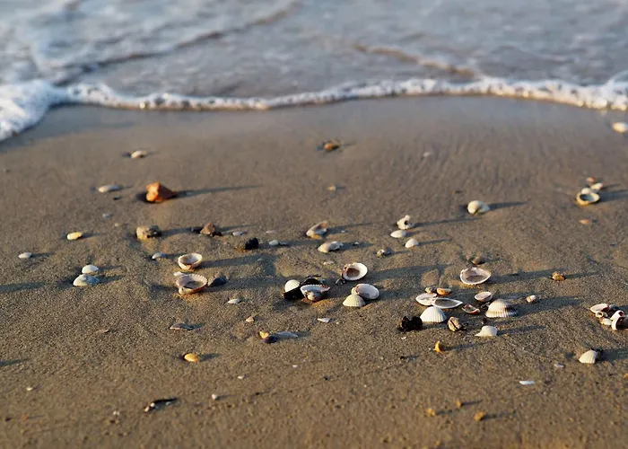 In 24612 Holiday home Bibione